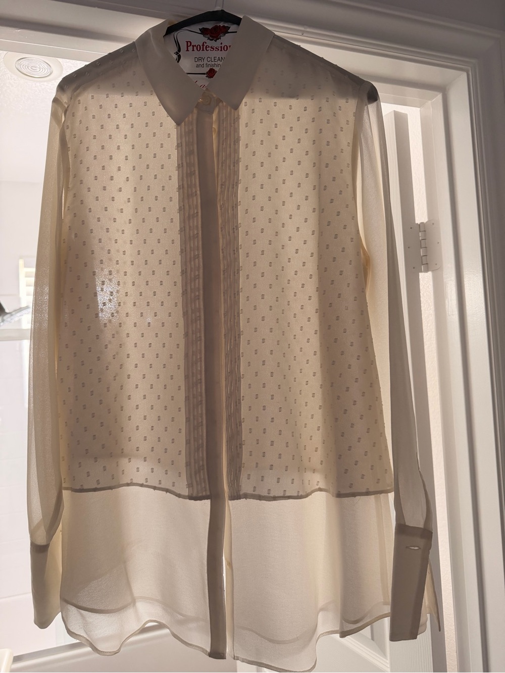 Banana Republic Ivory Sheer Button-Front Blouse